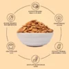 DRYF202_1 (1)